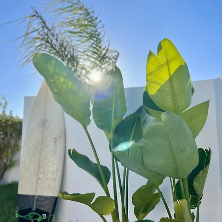 Sunday Morning 4* אלג'זור